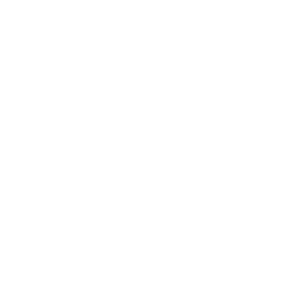 ícone 5